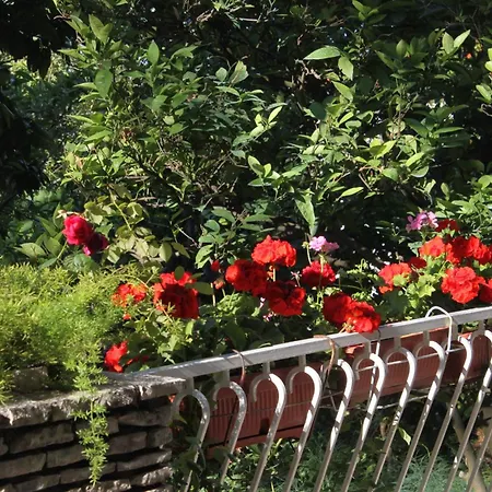 Apartman With A Parking Space Mlini, Dubrovnik - 9018 *